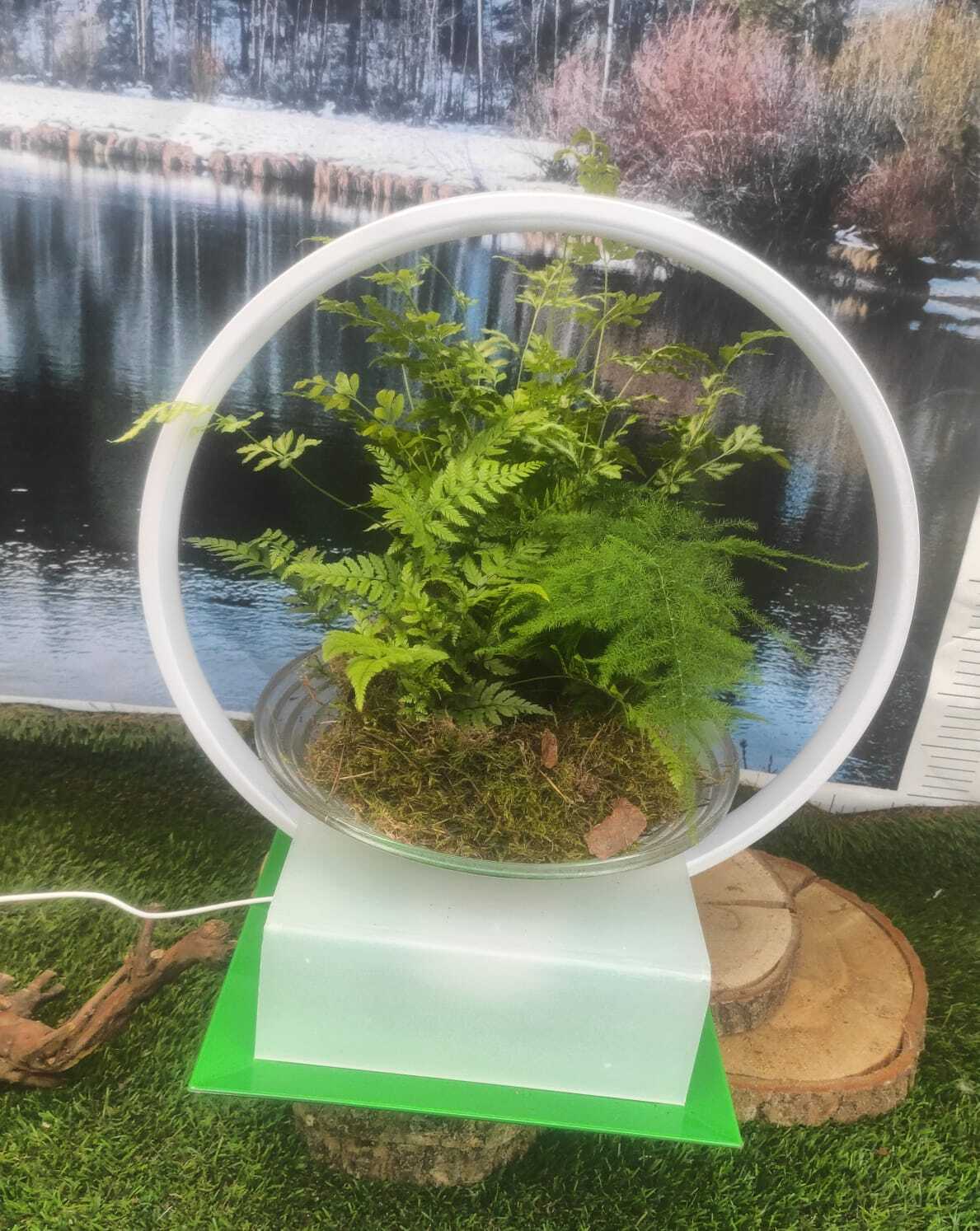 Lampada luminosa novita' 2023