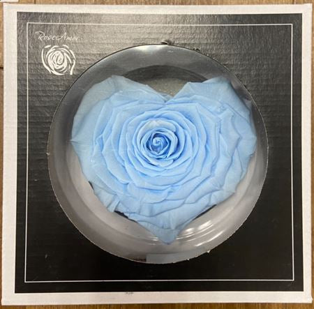 Pr 1.1 Corazon Whi01 Rosa stabilizzata forma di cuore san valentino