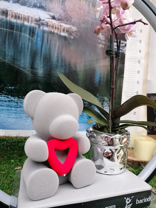Orsetto Teddy regalo perfetto San Valentino