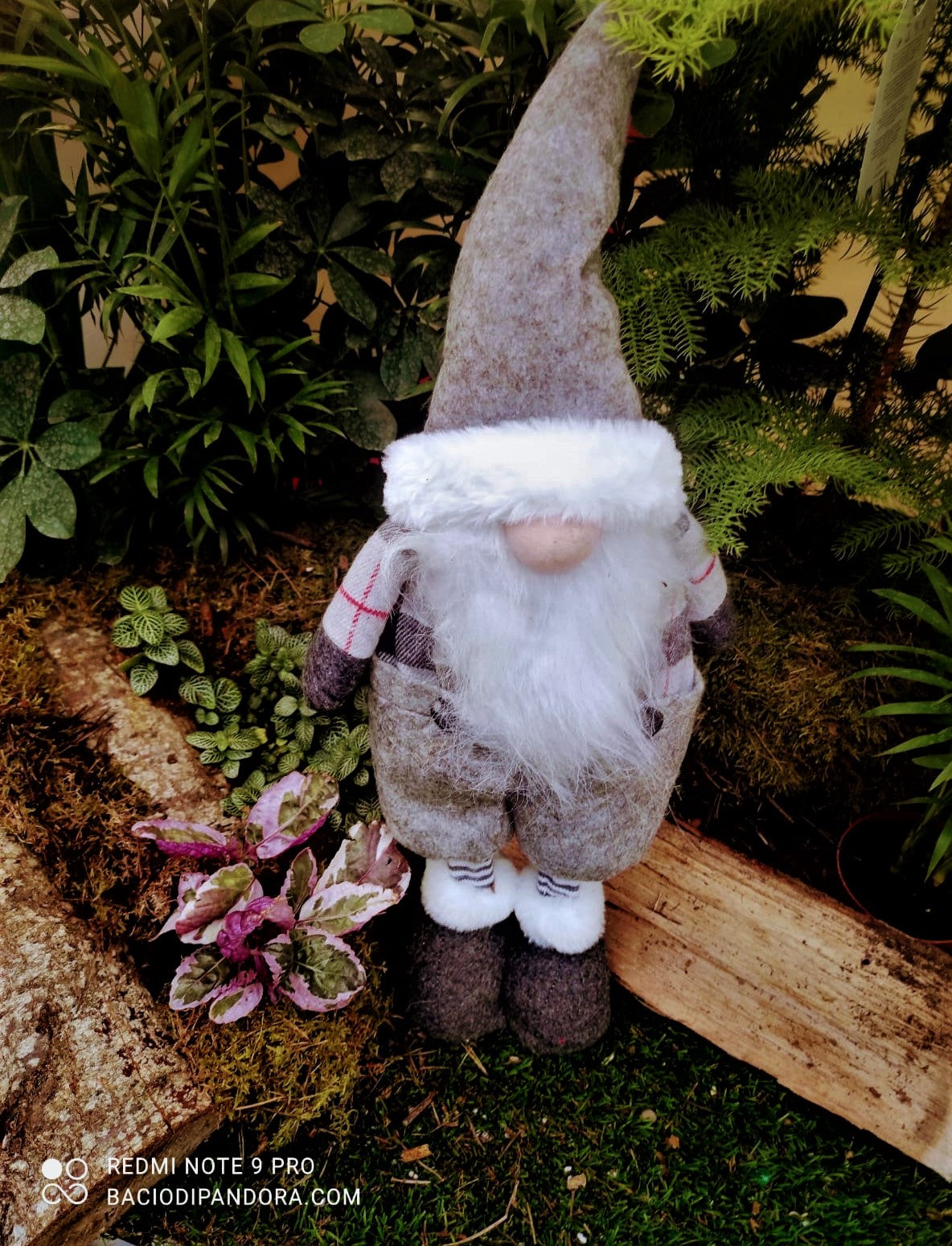ELFI DI NATALE, CREA LA MAGIA DEL NATALE A CASA TUA!