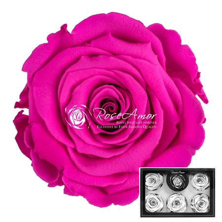 Pr 1 Pin07 Xl Rosa Stabilizzata Vera Eterna - Idee Regalo Festa Della Mamma Donna Moglie Fidanzata Ragazza San Valentino Compleanno Anniversario Matrimonio Originale Alta Qualità