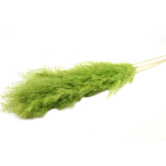Fiori secchi Pampas Dadang Essiccati Fiori Finti Pampa Erba Naturale Fiori Secchi per Decorazioni Natale Casa Balcone Giardino