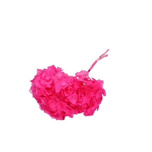 Fiori secchi Ortensia 40cm Fiori di Ortensia Secchi Naturali Fiori Immortali Fiori Verdi Pressati Materiali per Fai da Te