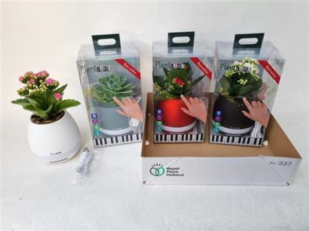 Vaso novita' con musica Piano Playbox idea regalo Natale