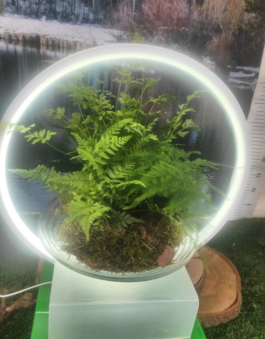 Lampada luminosa novita' 2023