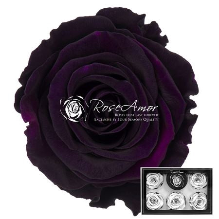 Pr 1 Pin07 Xl Rosa Stabilizzata Vera Eterna - Idee Regalo Festa Della Mamma Donna Moglie Fidanzata Ragazza San Valentino Compleanno Anniversario Matrimonio Originale Alta Qualità