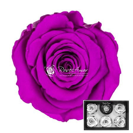 Pr 1 Pin07 Xl Rosa Stabilizzata Vera Eterna - Idee Regalo Festa Della Mamma Donna Moglie Fidanzata Ragazza San Valentino Compleanno Anniversario Matrimonio Originale Alta Qualità