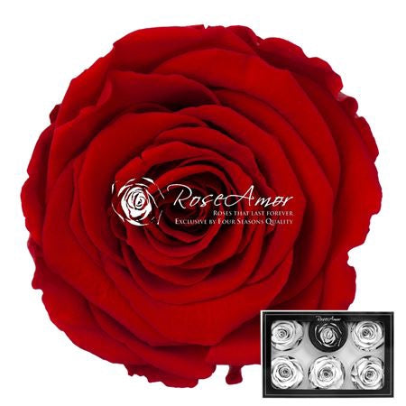 Pr 1 Pin07 Xl Rosa Stabilizzata Vera Eterna - Idee Regalo Festa Della Mamma Donna Moglie Fidanzata Ragazza San Valentino Compleanno Anniversario Matrimonio Originale Alta Qualità