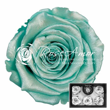 Pr 1 Pin07 Xl Rosa Stabilizzata Vera Eterna - Idee Regalo Festa Della Mamma Donna Moglie Fidanzata Ragazza San Valentino Compleanno Anniversario Matrimonio Originale Alta Qualità