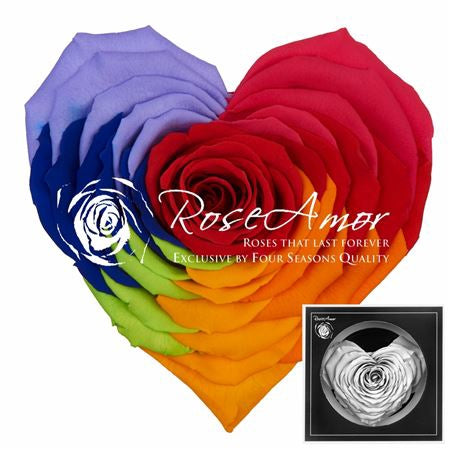 Pr 1.1 Corazon Whi01 Rosa stabilizzata forma di cuore san valentino