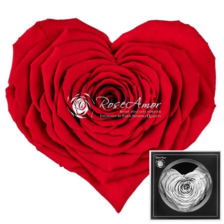Pr 1.1 Corazon Whi01 Rosa stabilizzata forma di cuore san valentino