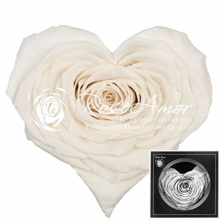 Pr 1.1 Corazon Whi01 Rosa stabilizzata forma di cuore san valentino
