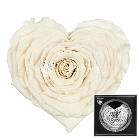 Pr 1.1 Corazon Whi01 Rosa stabilizzata forma di cuore san valentino