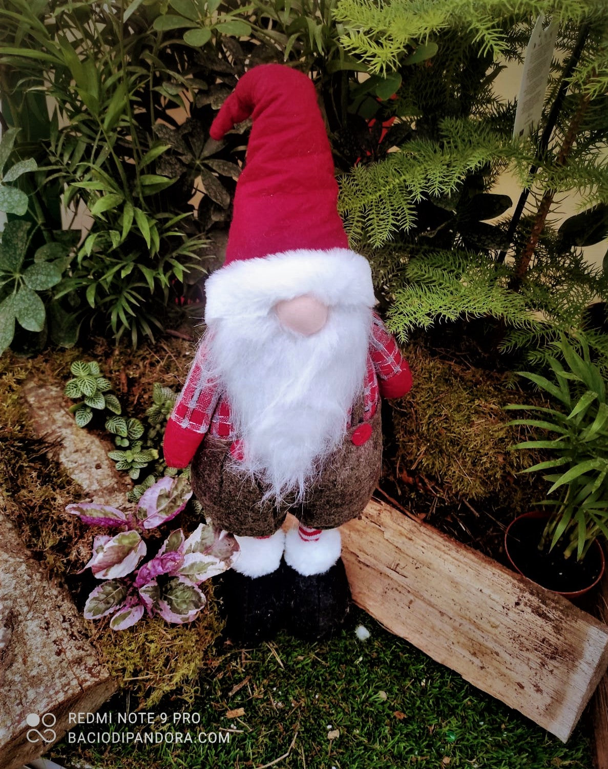 ELFI DI NATALE, CREA LA MAGIA DEL NATALE A CASA TUA!