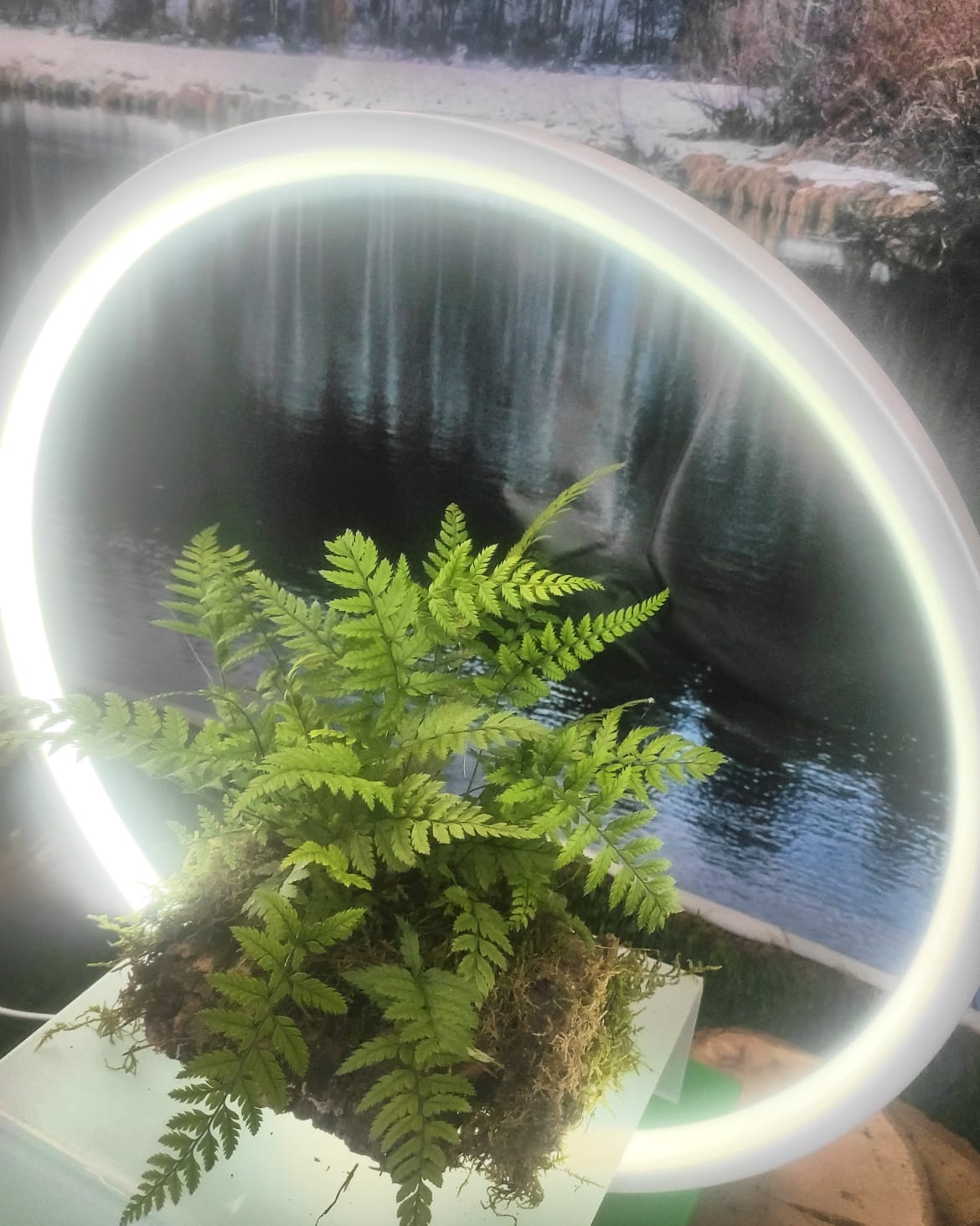 Lampada luminosa novita' 2023