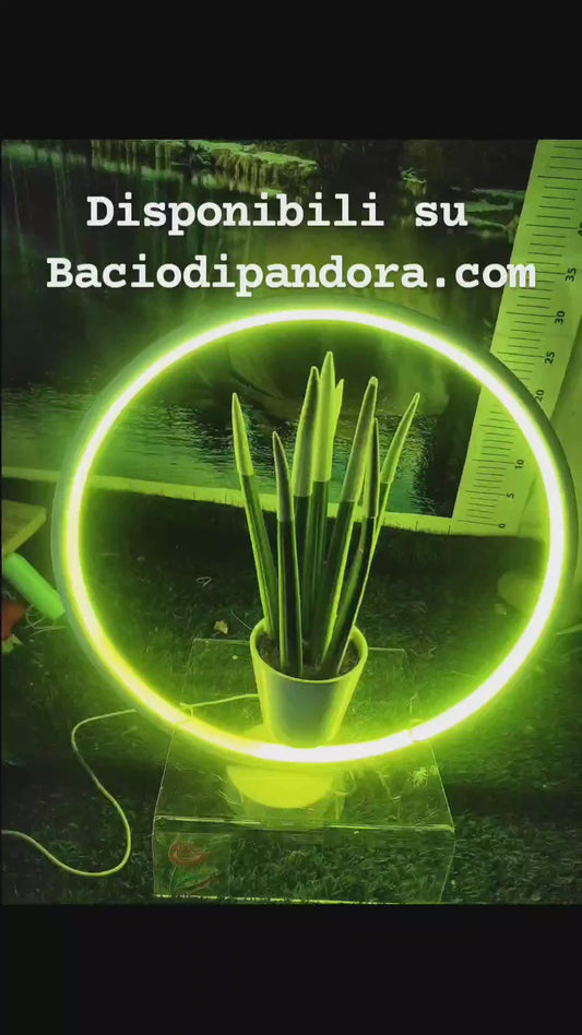 Cornice lampada led luminosa in vari colori! San Valentino perfetto