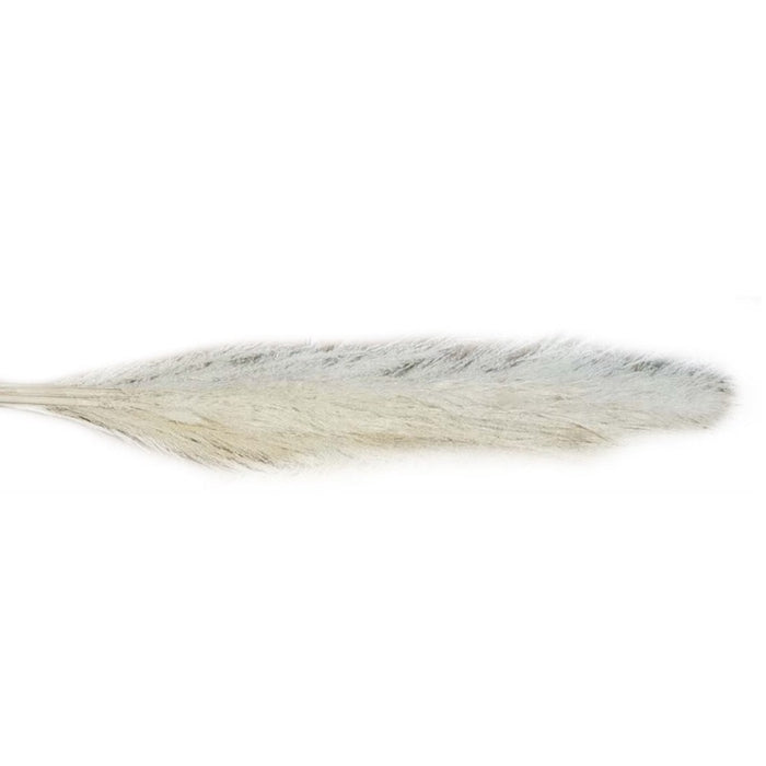 Fiori secchi Pampas Dadang Essiccati Fiori Finti Pampa Erba Naturale Fiori Secchi per Decorazioni Natale Casa Balcone Giardino