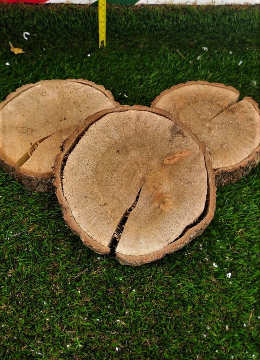 CERCHI DI LEGNO