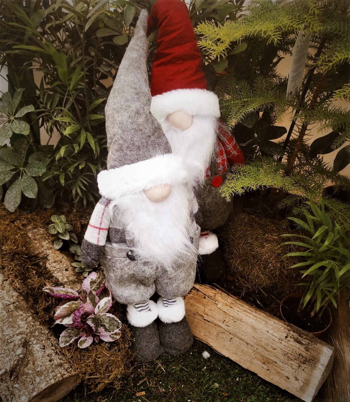 ELFI DI NATALE, CREA LA MAGIA DEL NATALE A CASA TUA!