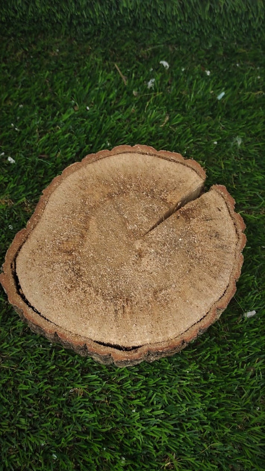 CERCHI DI LEGNO