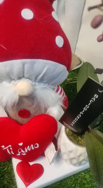 Elfo rosso San Valentino