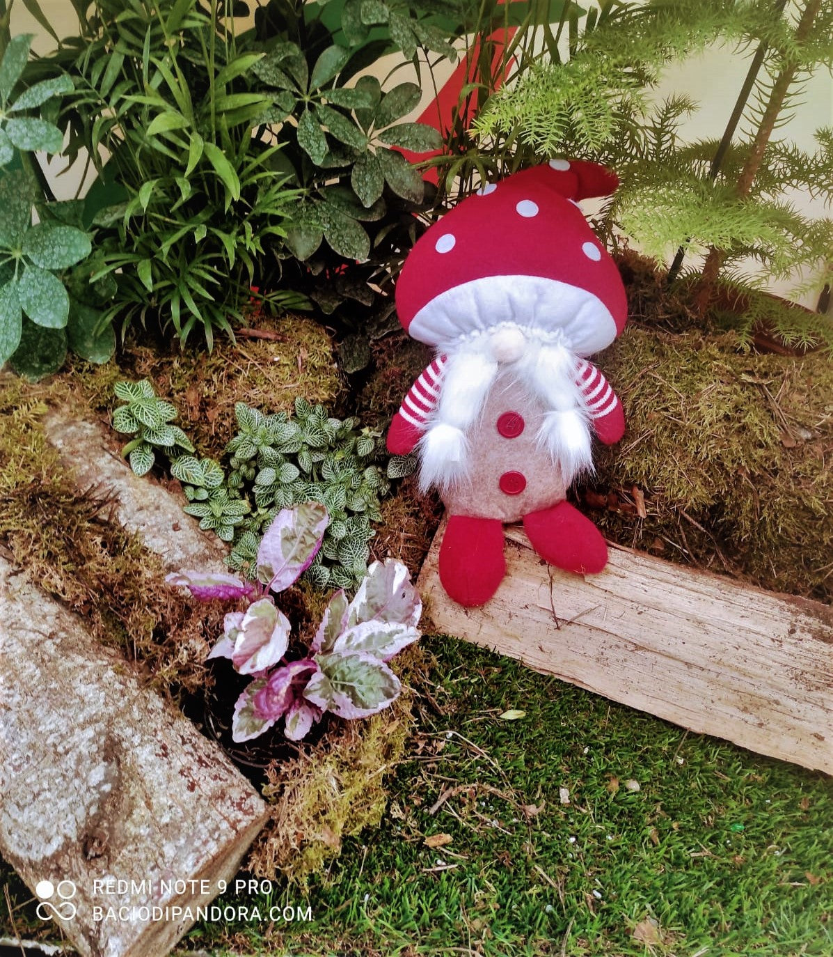 GEHYDY FUNGO PELUCHE GNOMO