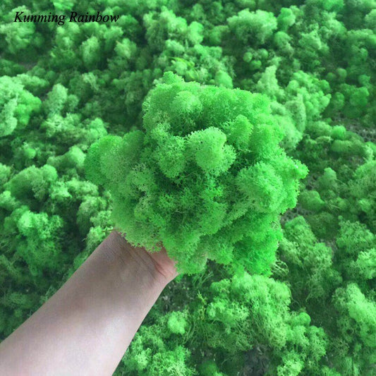 HTB1xldDa8r0gK0jSZFnq6zRRXXax.jpg