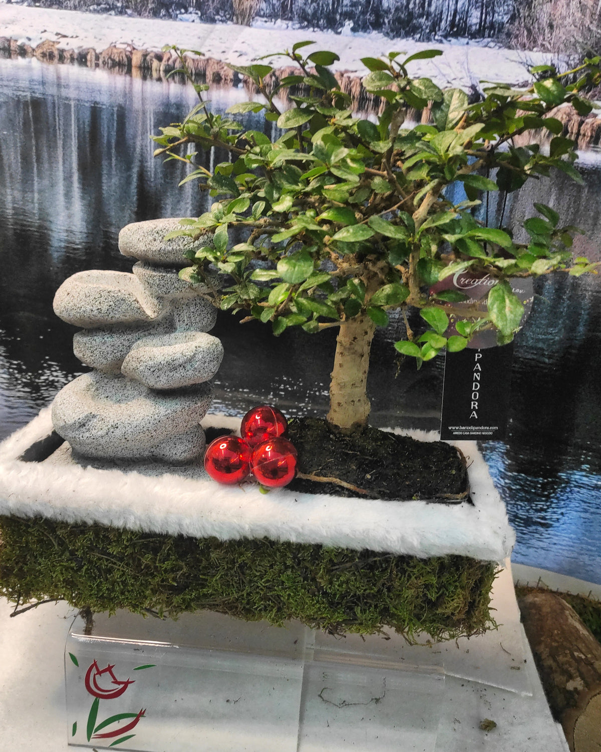 Bonsai con fontana (vera!) novita' Natale