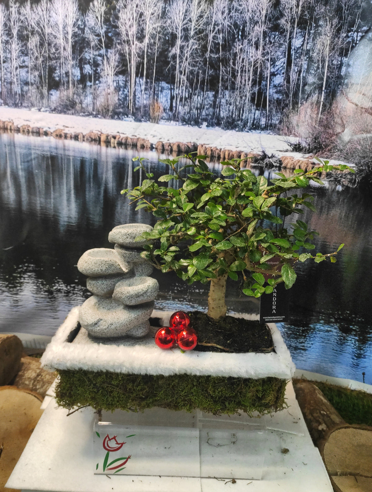 Bonsai con fontana (vera!) novita' Natale