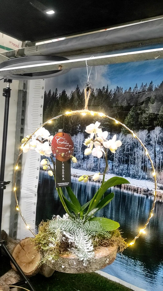 Centro tavola  in legno e luci led