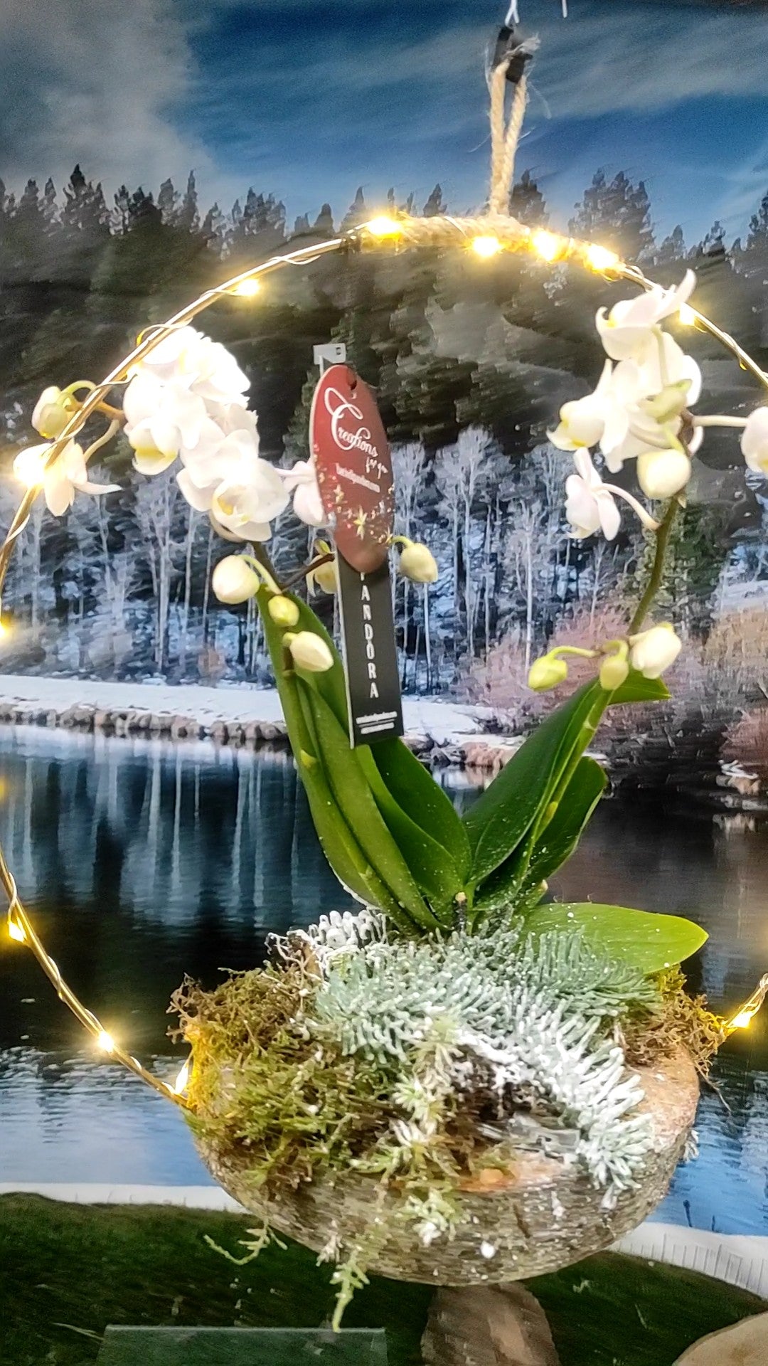 Centro tavola  in legno e luci led