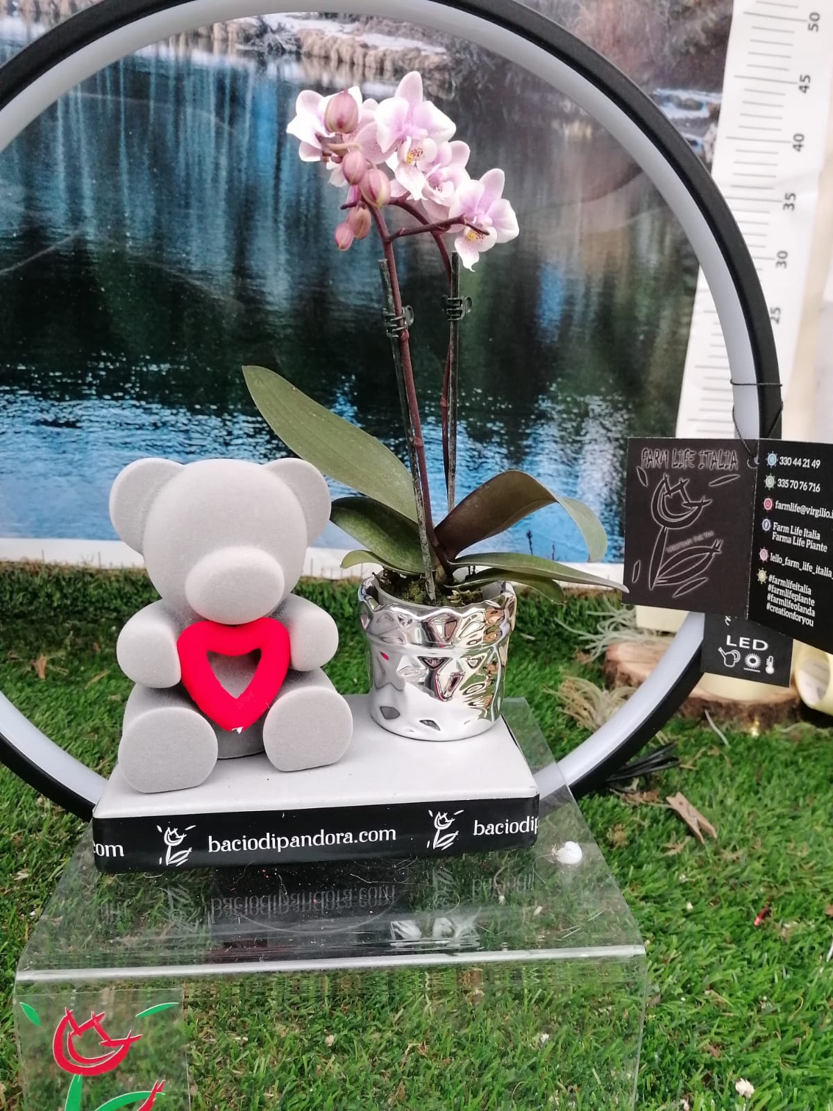 Orsetto Teddy regalo perfetto San Valentino