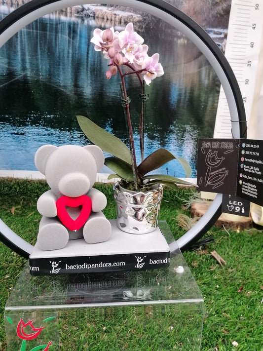 Orsetto Teddy regalo perfetto San Valentino