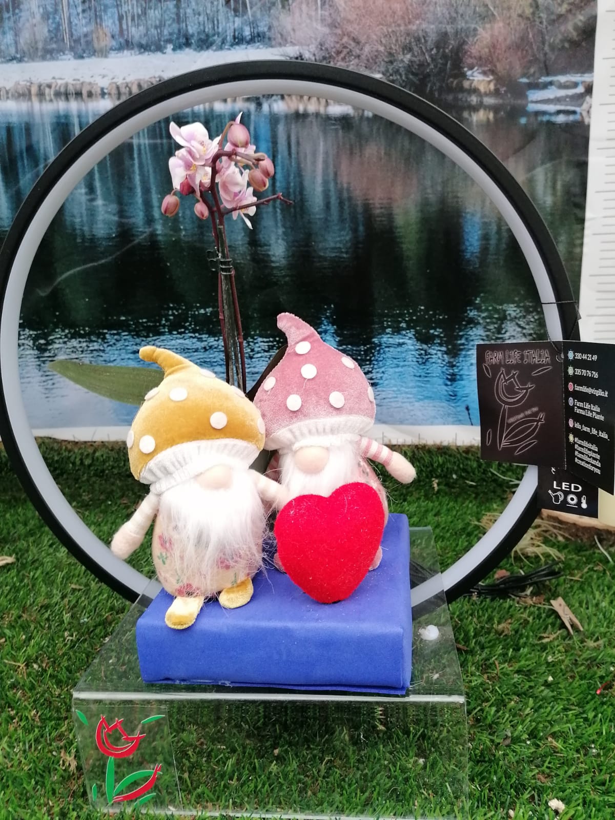 Composizione San Valentino regalo perfetto