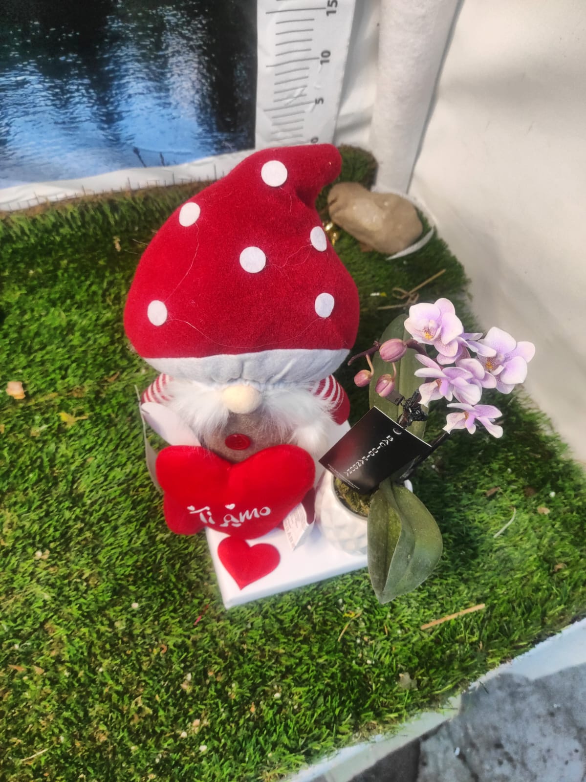 Elfo rosso San Valentino