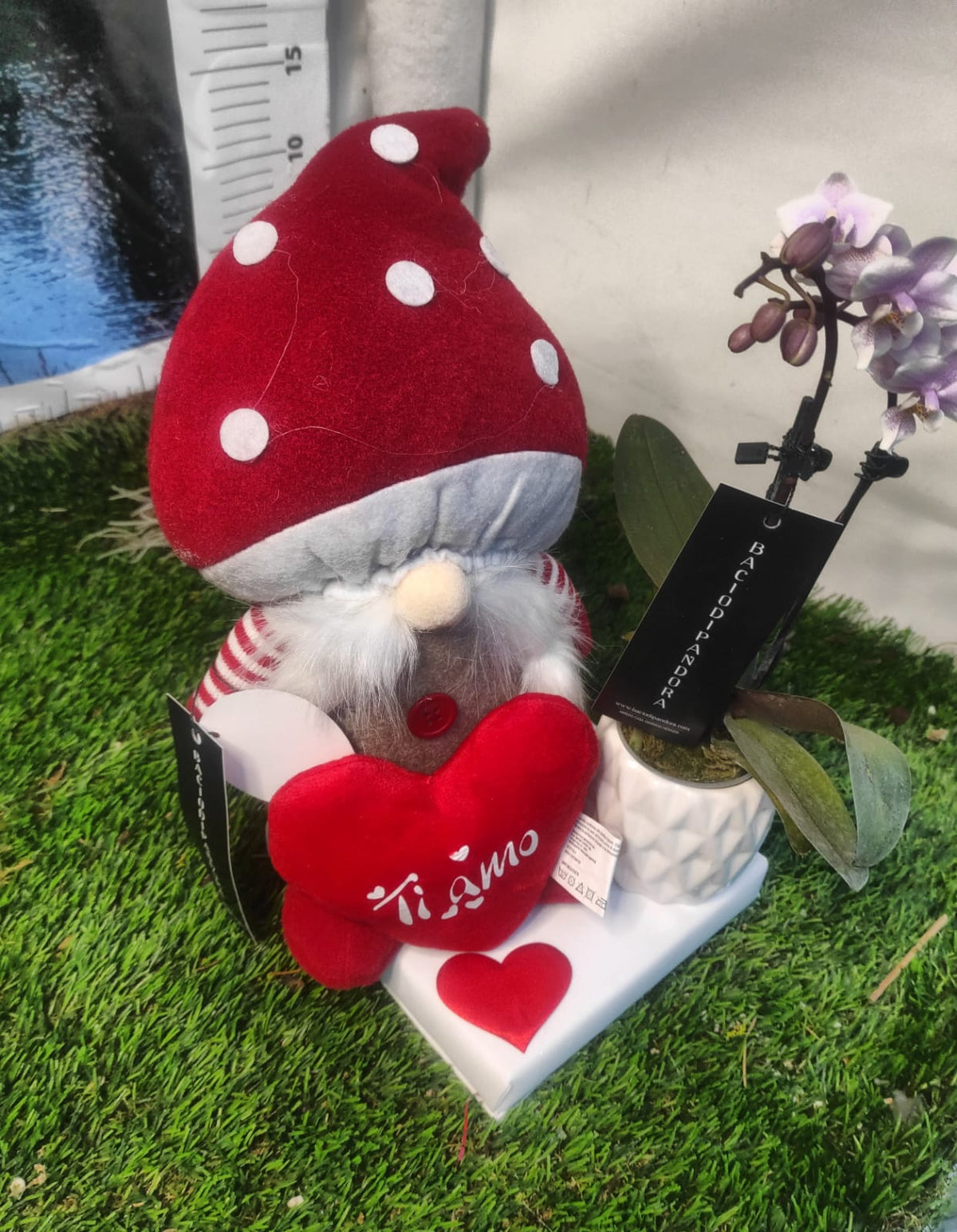 Elfo rosso San Valentino