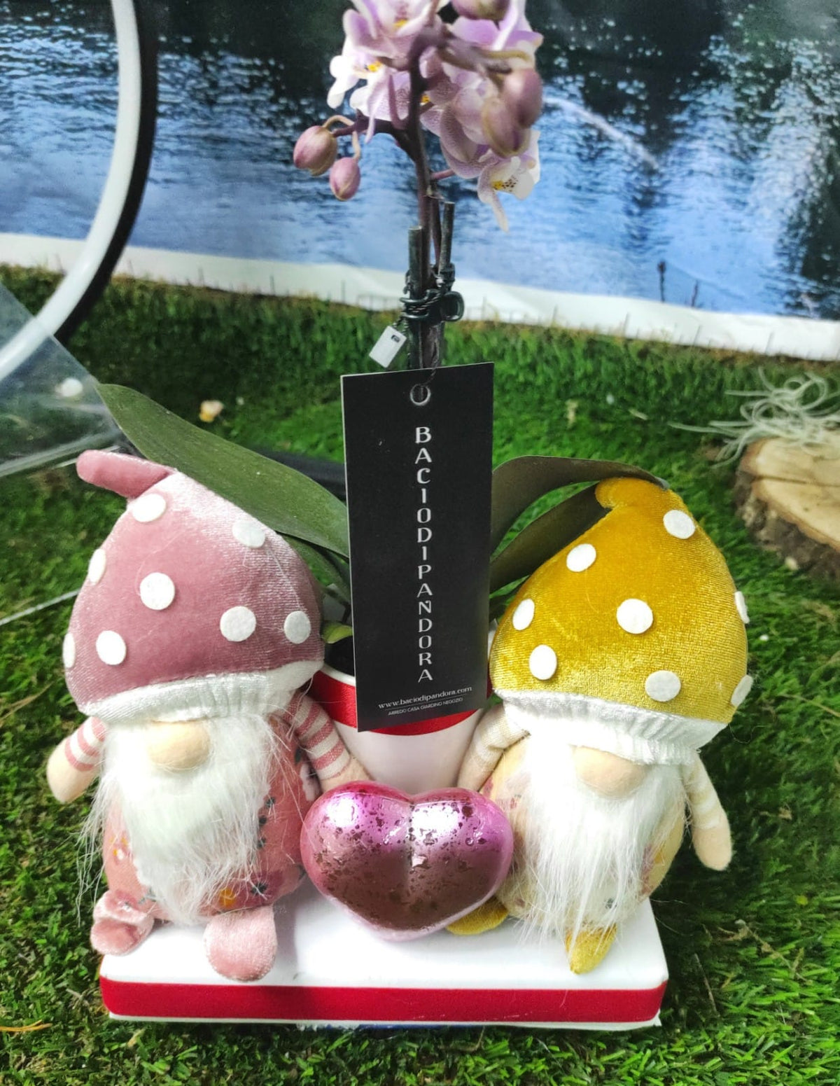 Gnometti amorosi San Valentino