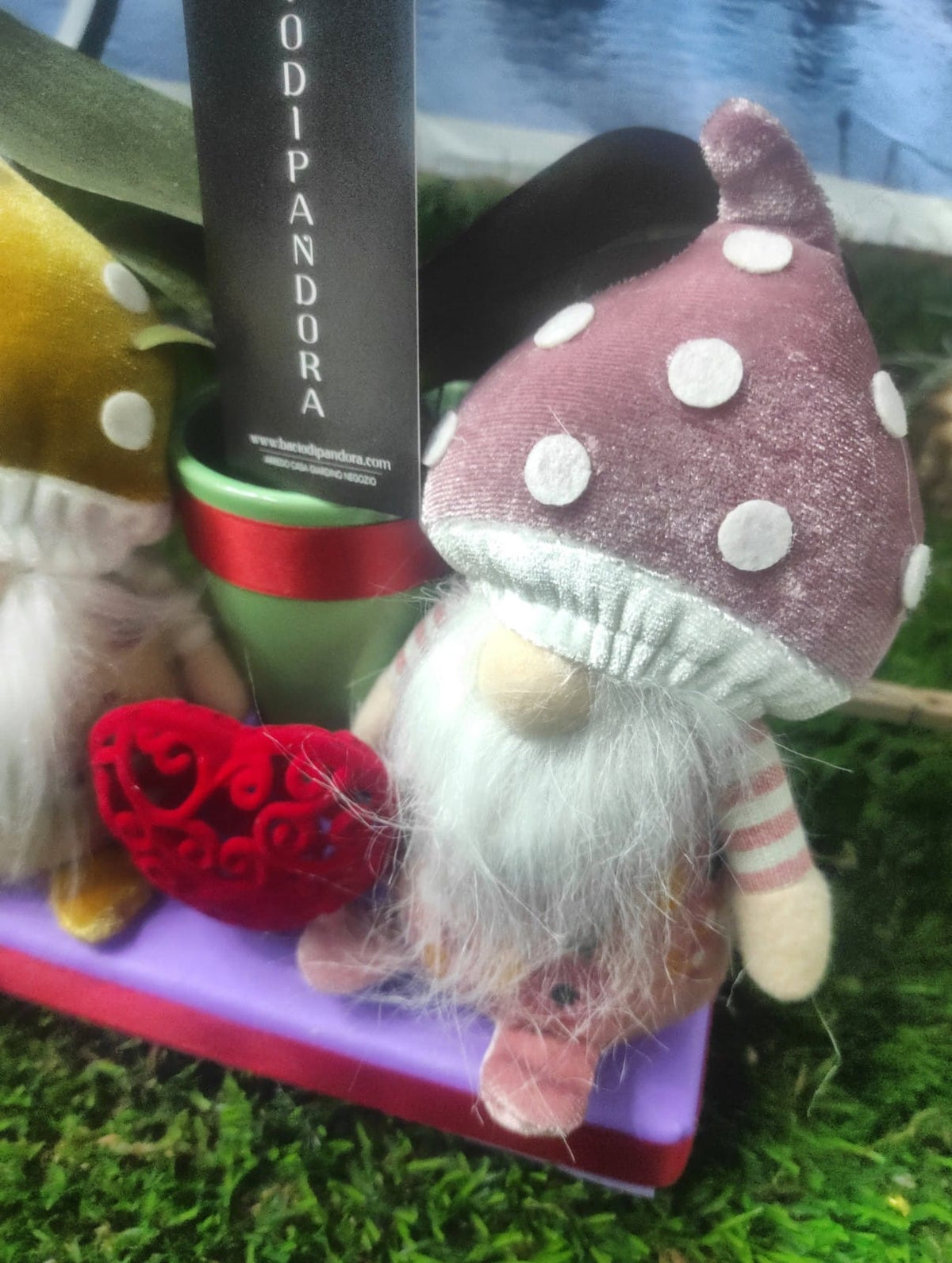 Gnometti amorosi San Valentino