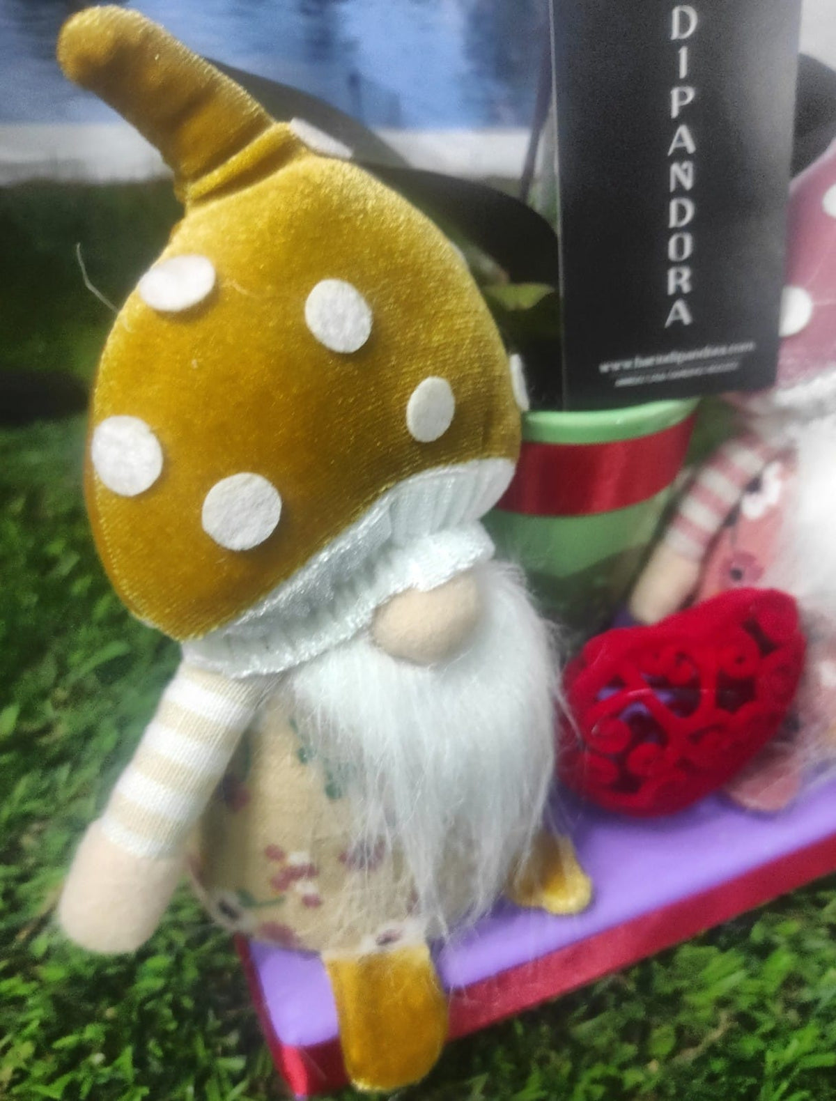 Gnometti amorosi San Valentino