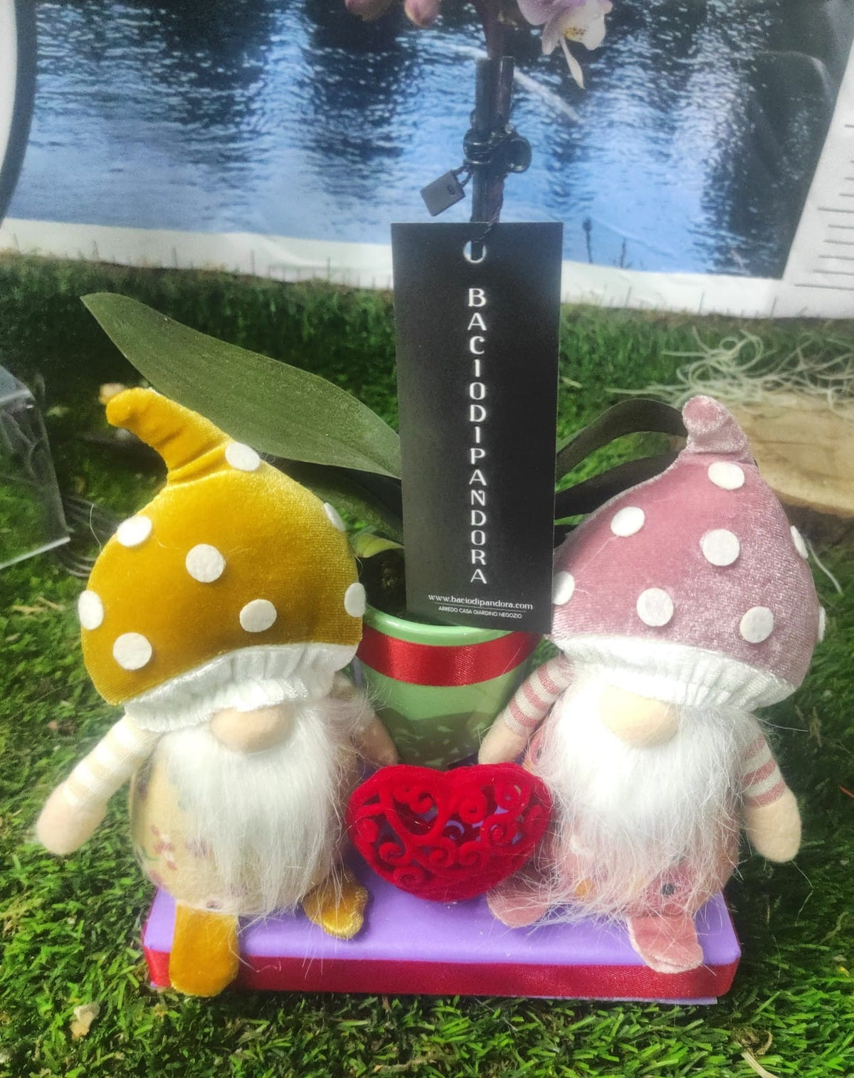 Gnometti amorosi San Valentino