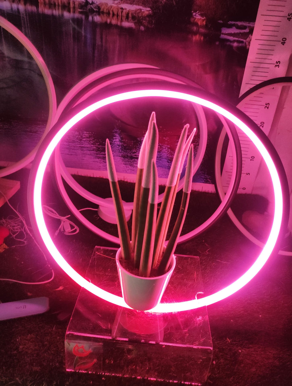 Cornice lampada led luminosa in vari colori! San Valentino perfetto