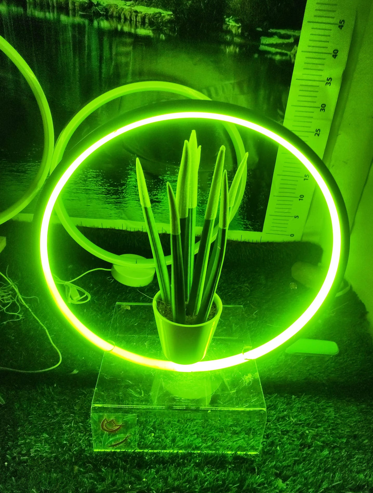 Cornice lampada led luminosa in vari colori! San Valentino perfetto