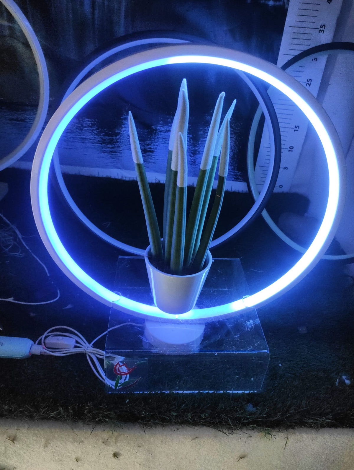 Cornice lampada led luminosa in vari colori! San Valentino perfetto