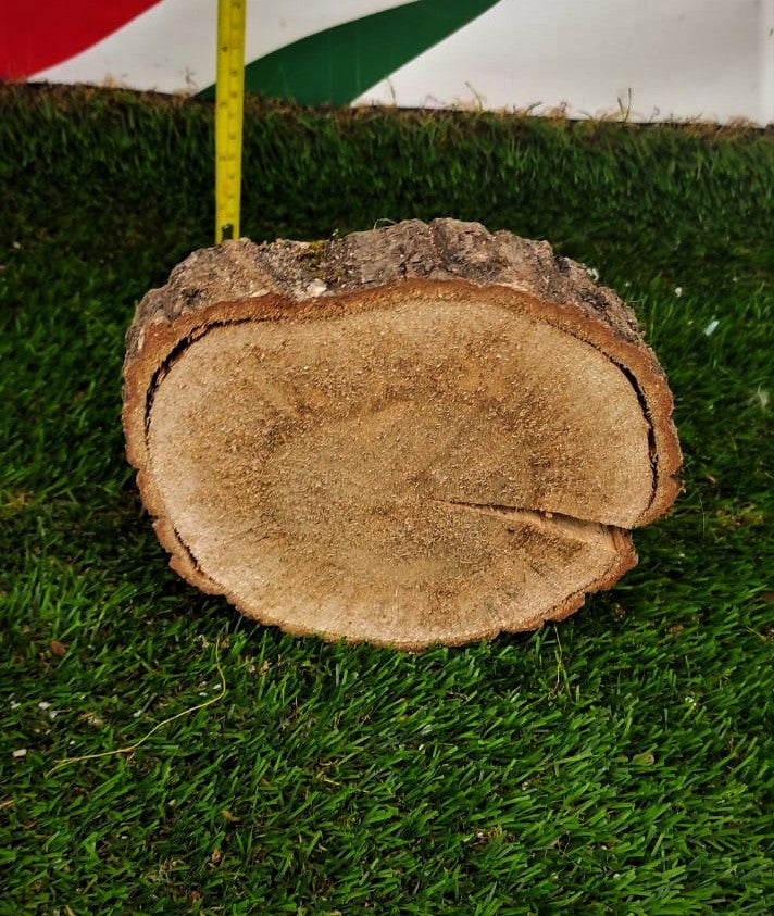 CERCHI DI LEGNO