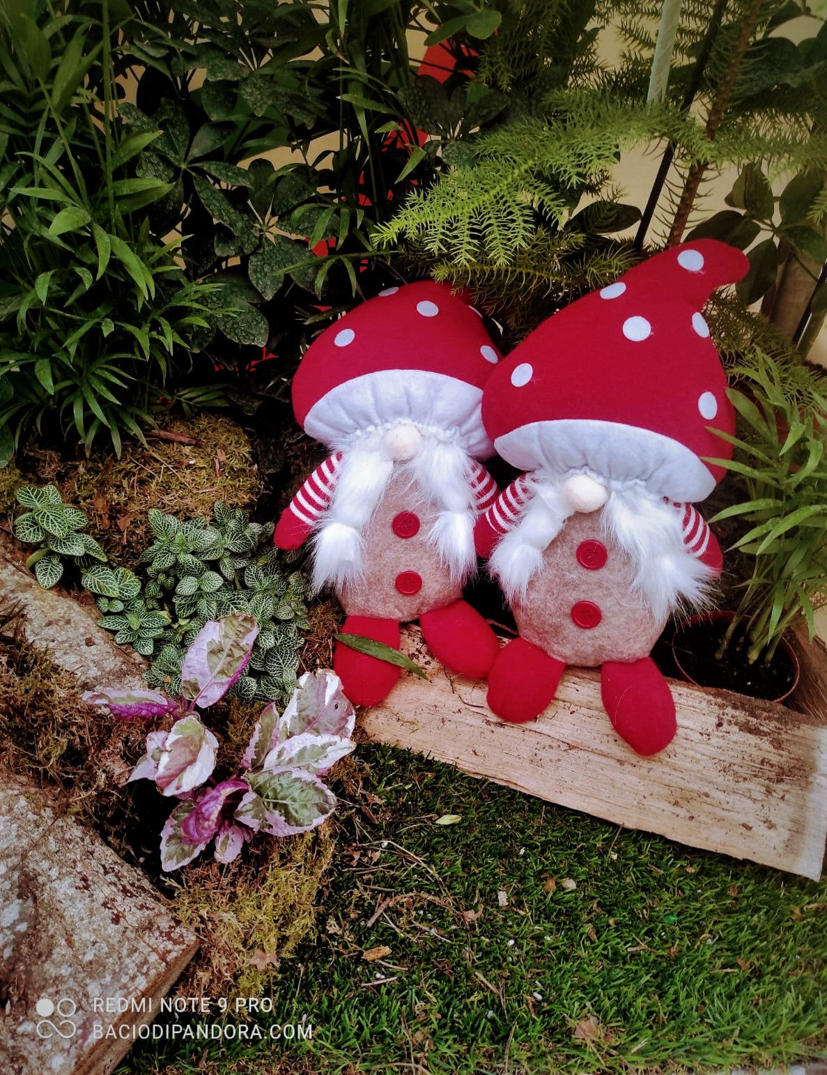GEHYDY FUNGO PELUCHE GNOMO