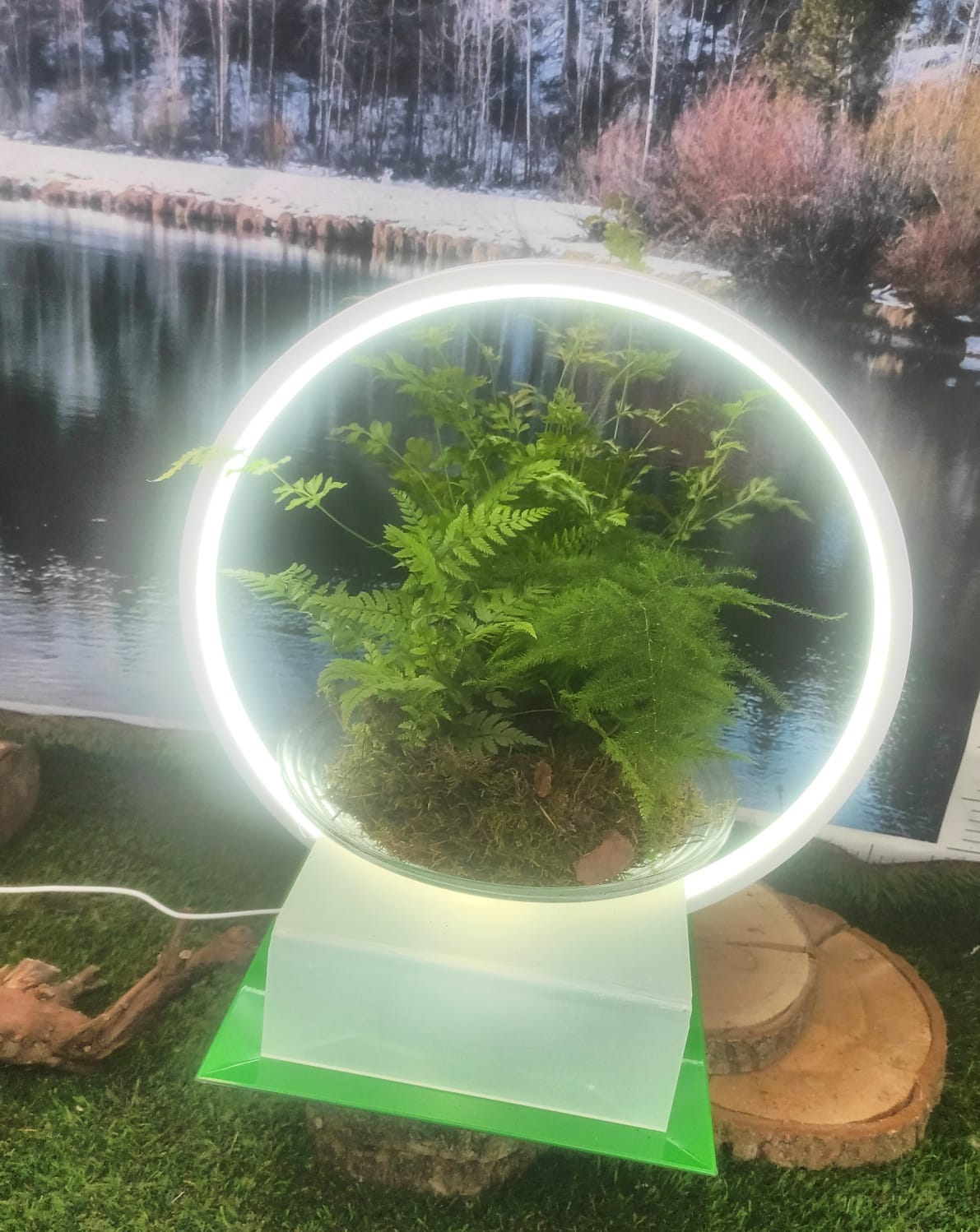 Lampada luminosa novita' 2023