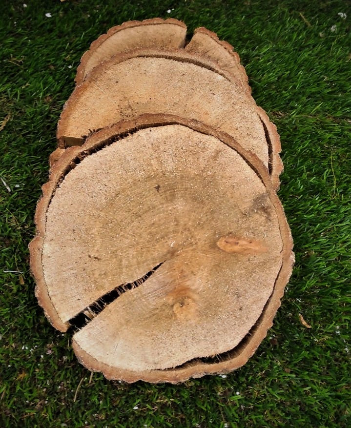 CERCHI DI LEGNO
