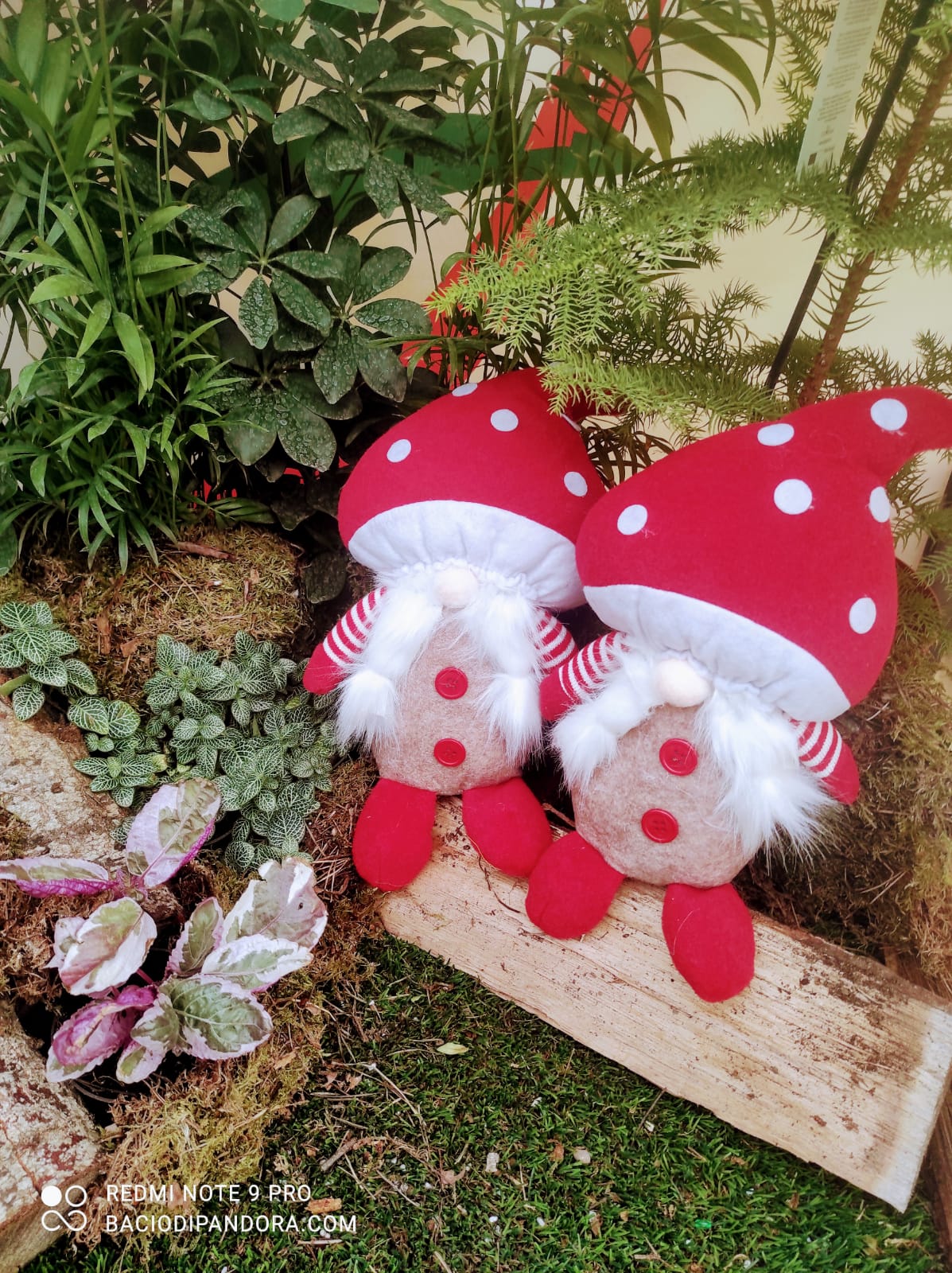 GEHYDY FUNGO PELUCHE GNOMO