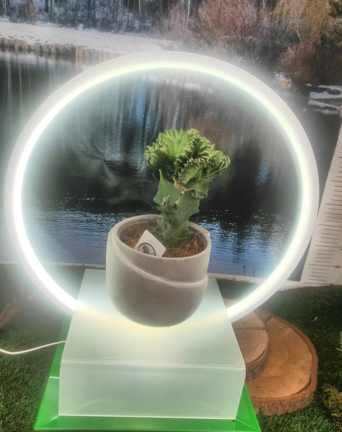 Lampada luminosa novita' 2023